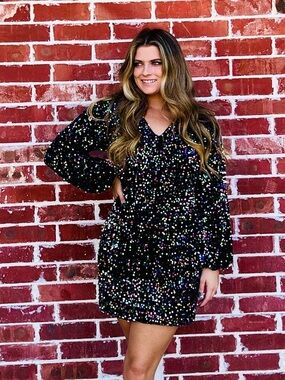 Grace + Emma Multicolor Sequin Party Dress 3XL NWT Long Sleeve Shift